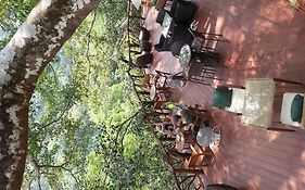 The Giant Chiangmai