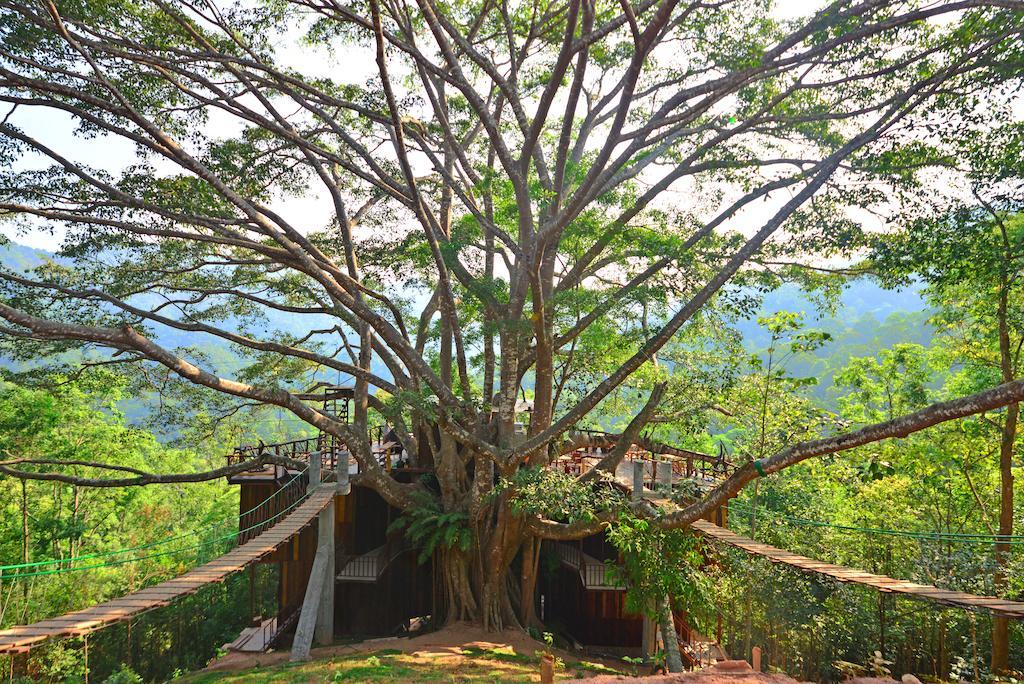 The Giant Chiangmai Chiang Mai Exterior photo